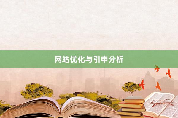 网站优化与引申分析