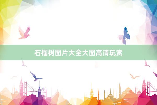 石榴树图片大全大图高清玩赏